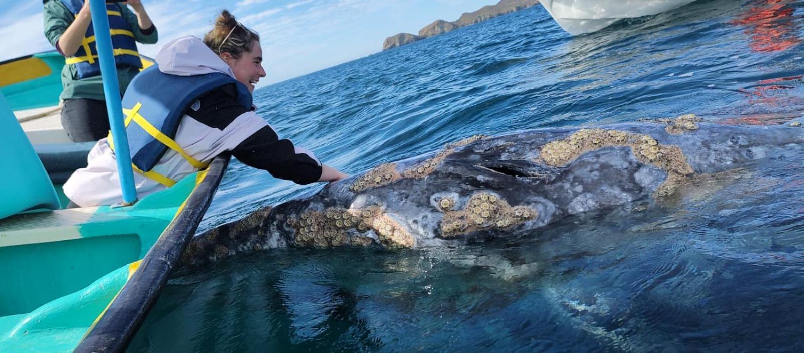 Hotel- Whale Tours And Sport Fishing Vista Mag-Bay Puerto San Carlos Oda fotoğraf