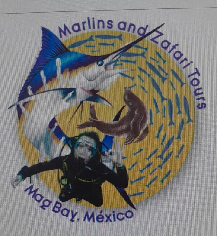 Hotel- Whale Tours And Sport Fishing Vista Mag-Bay Puerto San Carlos Oda fotoğraf